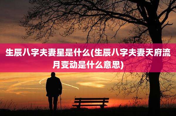 生辰八字夫妻星是什么(生辰八字夫妻天府流月变动是什么意思)
