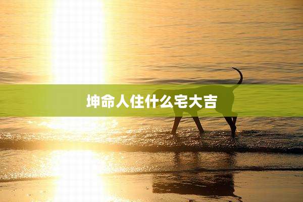 坤命人住什么宅大吉