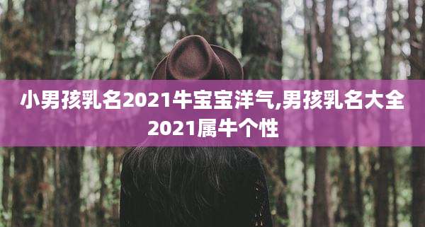 小男孩乳名2021牛宝宝洋气,男孩乳名大全2021属牛个性