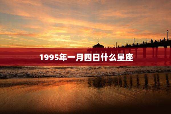 1995年一月四日什么星座