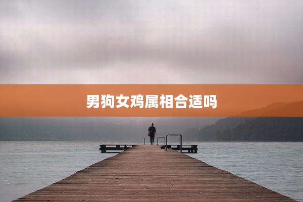 男狗女鸡属相合适吗