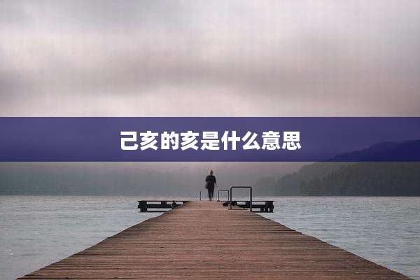 己亥的亥是什么意思