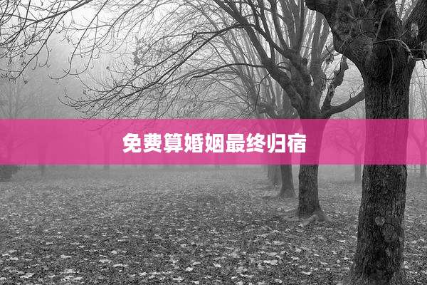免费算婚姻最终归宿