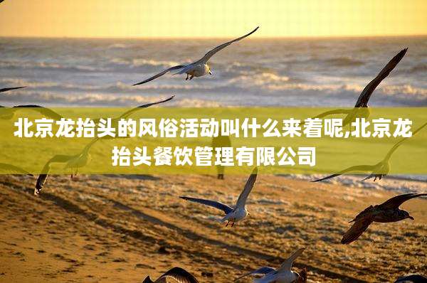 北京龙抬头的风俗活动叫什么来着呢,北京龙抬头餐饮管理有限公司