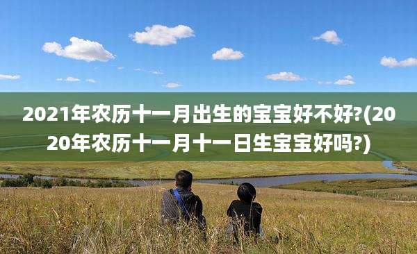 2021年农历十一月出生的宝宝好不好?(2020年农历十一月十一日生宝宝好吗?)
