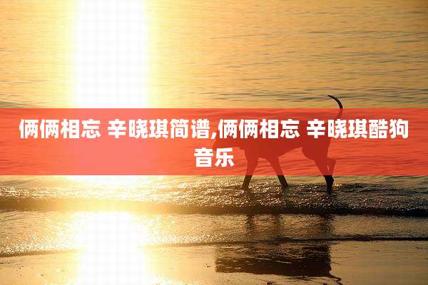 俩俩相忘 辛晓琪简谱,俩俩相忘 辛晓琪酷狗音乐
