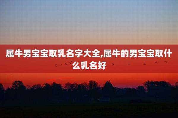 属牛男宝宝取乳名字大全,属牛的男宝宝取什么乳名好