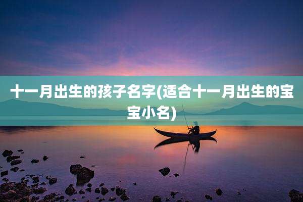 十一月出生的孩子名字(适合十一月出生的宝宝小名)
