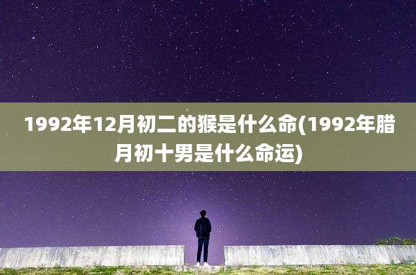 1992年12月初二的猴是什么命(1992年腊月初十男是什么命运)