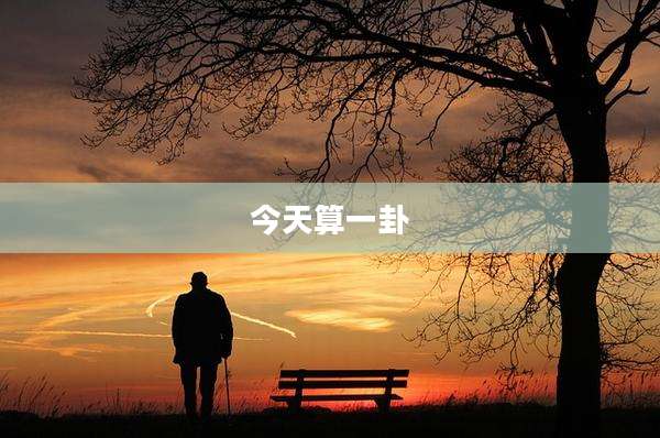 今天算一卦