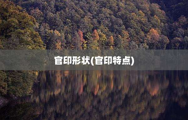 官印形状(官印特点)