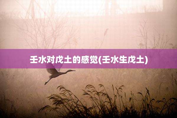 壬水对戊土的感觉(壬水生戊土)