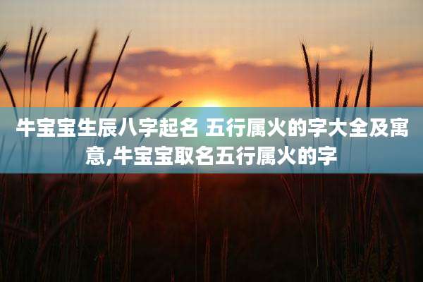 牛宝宝生辰八字起名 五行属火的字大全及寓意,牛宝宝取名五行属火的字