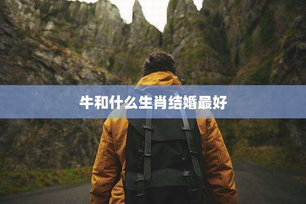 牛和什么生肖结婚最好