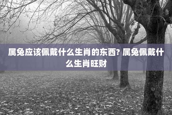 属兔应该佩戴什么生肖的东西? 属兔佩戴什么生肖旺财