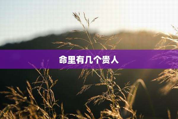 命里有几个贵人