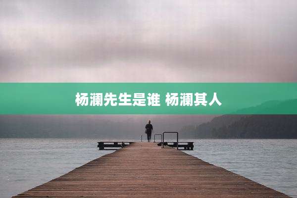 杨澜先生是谁 杨澜其人