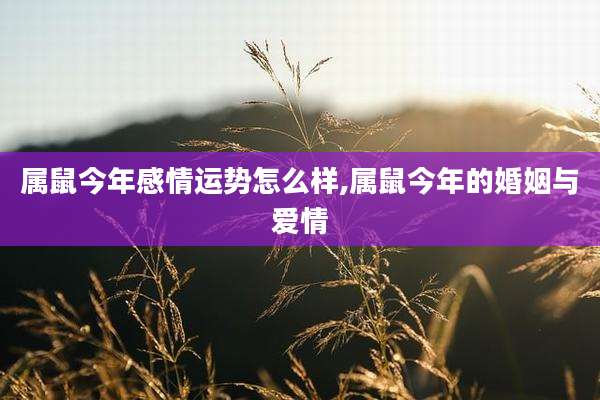 属鼠今年感情运势怎么样,属鼠今年的婚姻与爱情