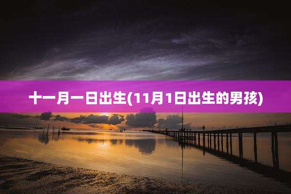 十一月一日出生(11月1日出生的男孩)