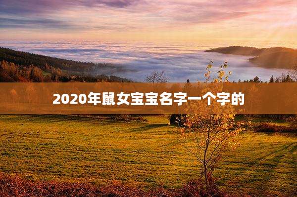 2020年鼠女宝宝名字一个字的