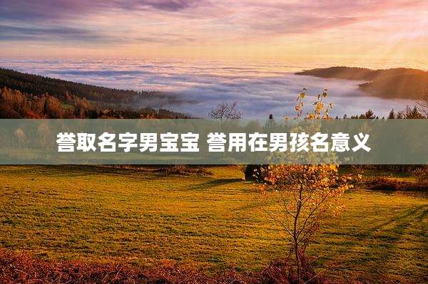 誉取名字男宝宝 誉用在男孩名意义