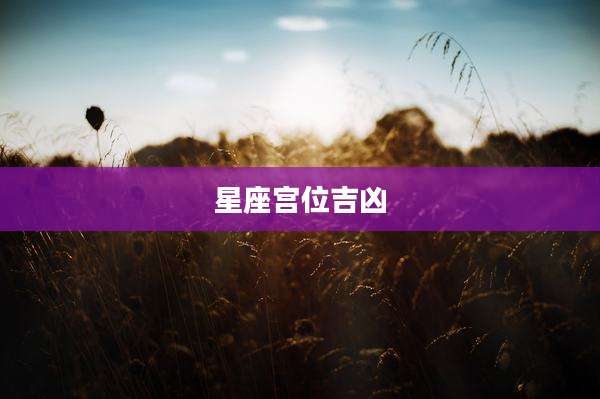 星座宫位吉凶