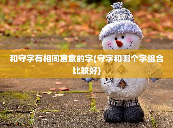 和守字有相同寓意的字(守字和哪个字组合比较好)