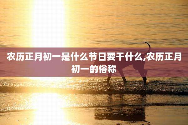 农历正月初一是什么节日要干什么,农历正月初一的俗称