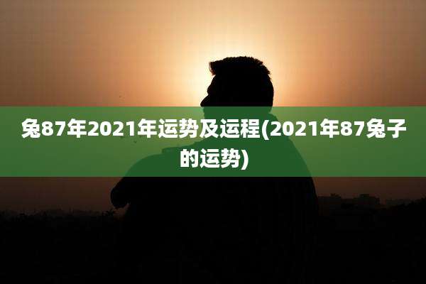 兔87年2021年运势及运程(2021年87兔子的运势)