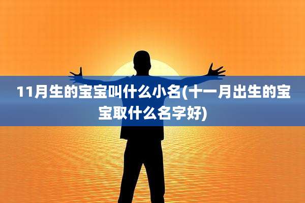 11月生的宝宝叫什么小名(十一月出生的宝宝取什么名字好)