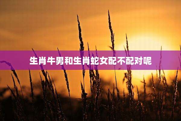生肖牛男和生肖蛇女配不配对呢