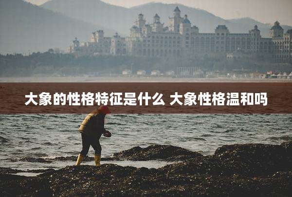 大象的性格特征是什么 大象性格温和吗