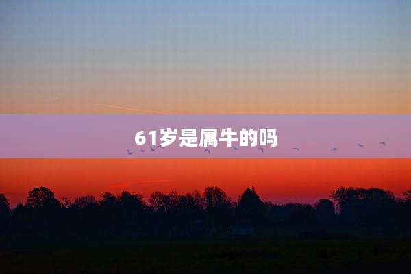 61岁是属牛的吗