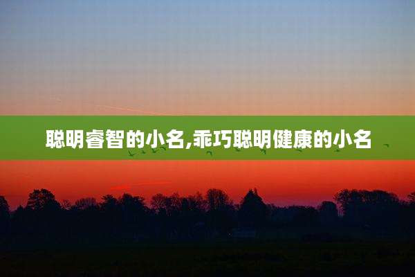 聪明睿智的小名,乖巧聪明健康的小名