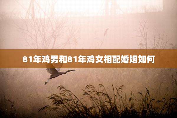 81年鸡男和81年鸡女相配婚姻如何