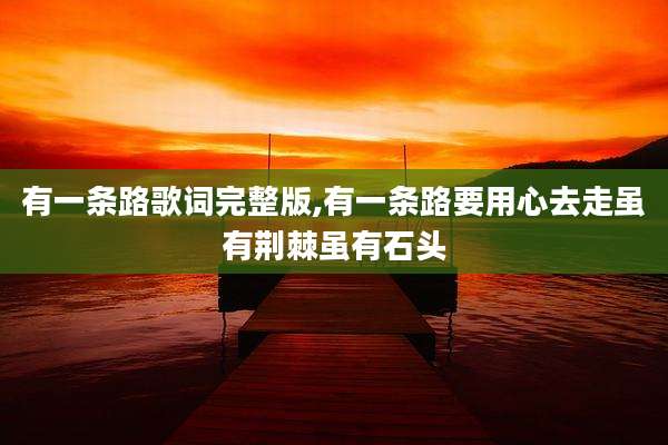 有一条路歌词完整版,有一条路要用心去走虽有荆棘虽有石头