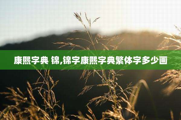 康熙字典 锦,锦字康熙字典繁体字多少画
