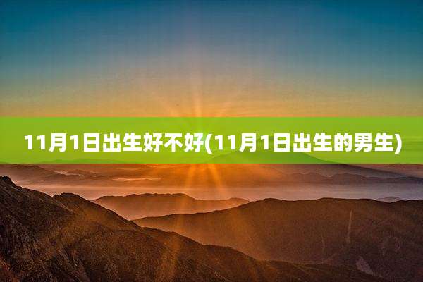 11月1日出生好不好(11月1日出生的男生)