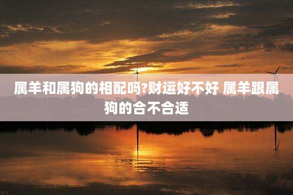 属羊和属狗的相配吗?财运好不好 属羊跟属狗的合不合适