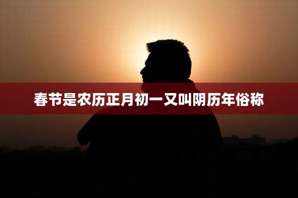 春节是农历正月初一又叫阴历年俗称