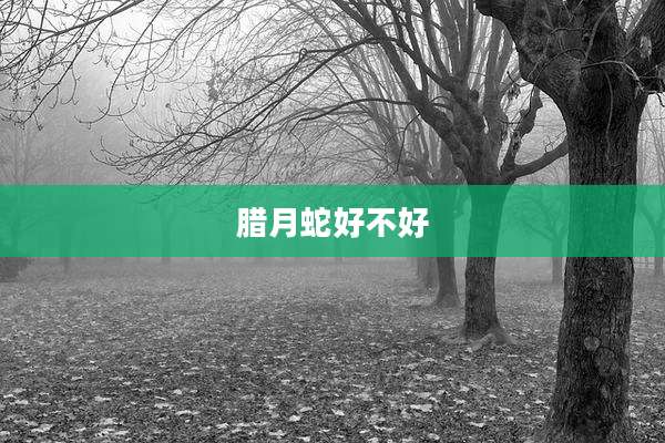 腊月蛇好不好