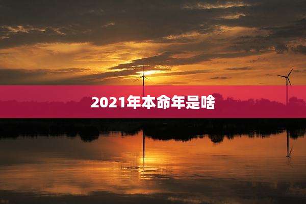 2021年本命年是啥