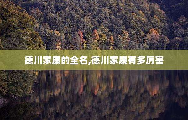 德川家康的全名,德川家康有多厉害