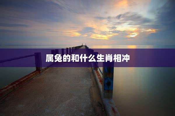 属兔的和什么生肖相冲