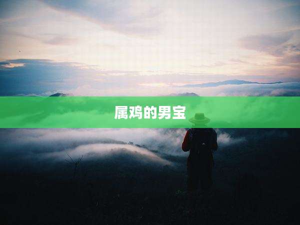 属鸡的男宝