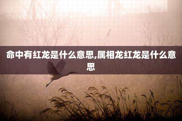 命中有红龙是什么意思,属相龙红龙是什么意思