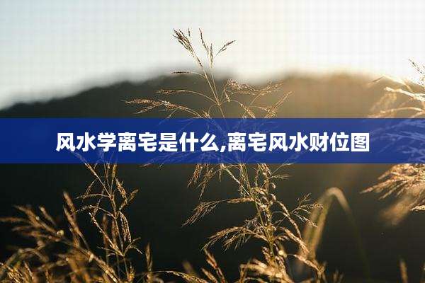 风水学离宅是什么,离宅风水财位图