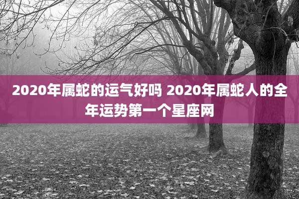 2020年属蛇的运气好吗 2020年属蛇人的全年运势第一个星座网
