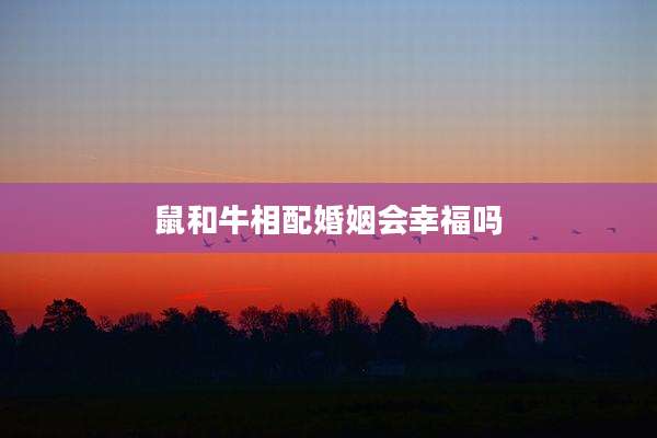 鼠和牛相配婚姻会幸福吗
