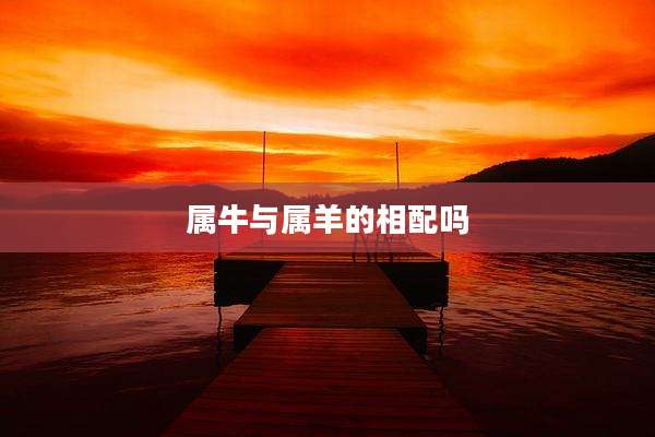 属牛与属羊的相配吗